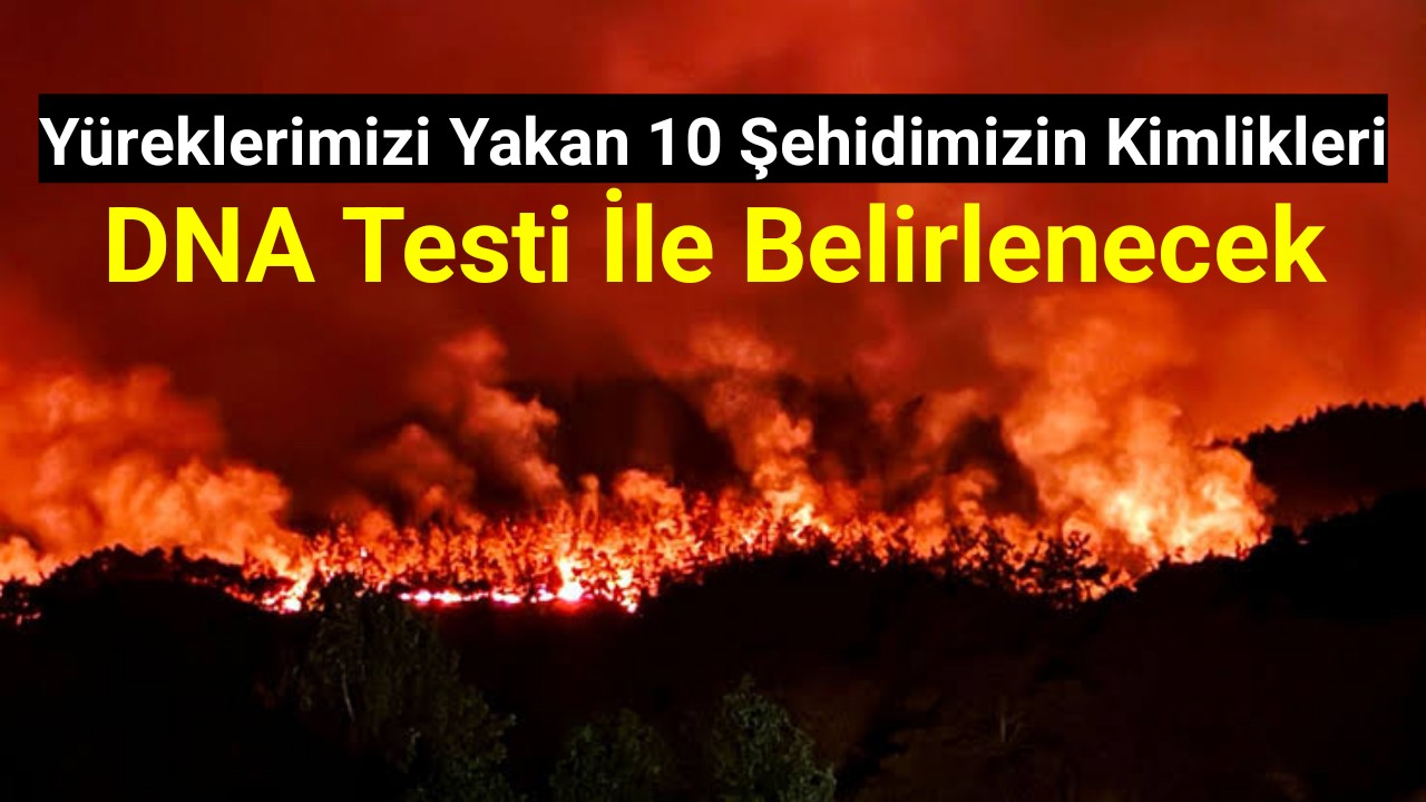10 şehidimizin kimlikleri DNA testi ile belirlenecek