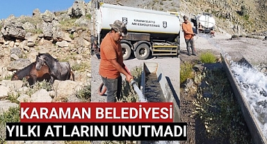 KARAMAN BELEDİYESİ YILKI ATLARINI UNUTMADI