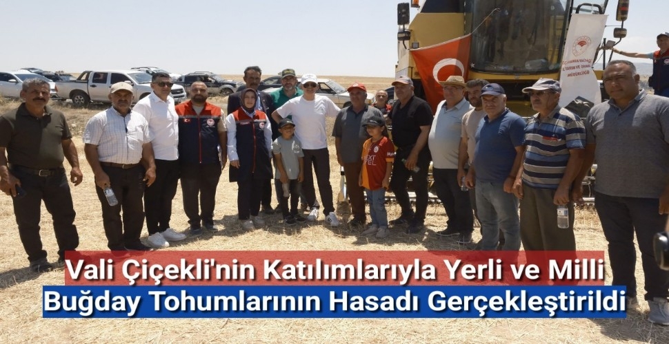 Vali Çiçekli'nin Katılımlarıyla Yerli ve Milli Buğday Tohumlarının Hasadı Gerçekleştirildi