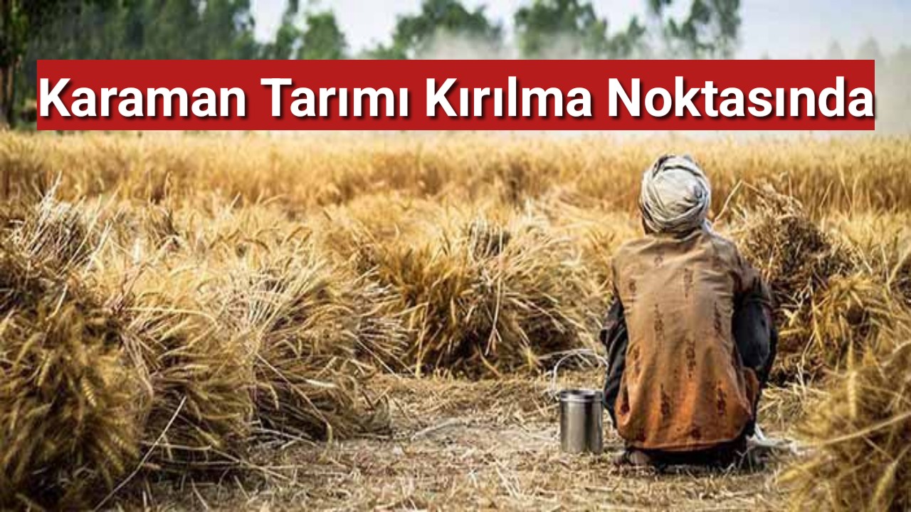 Karaman tarımı kırılma noktasında