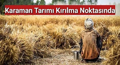 Karaman tarımı kırılma noktasında