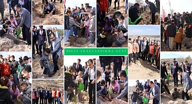 BAŞKAN KALAYCI FİDAN DİKME PROGRAMINA KATILDI