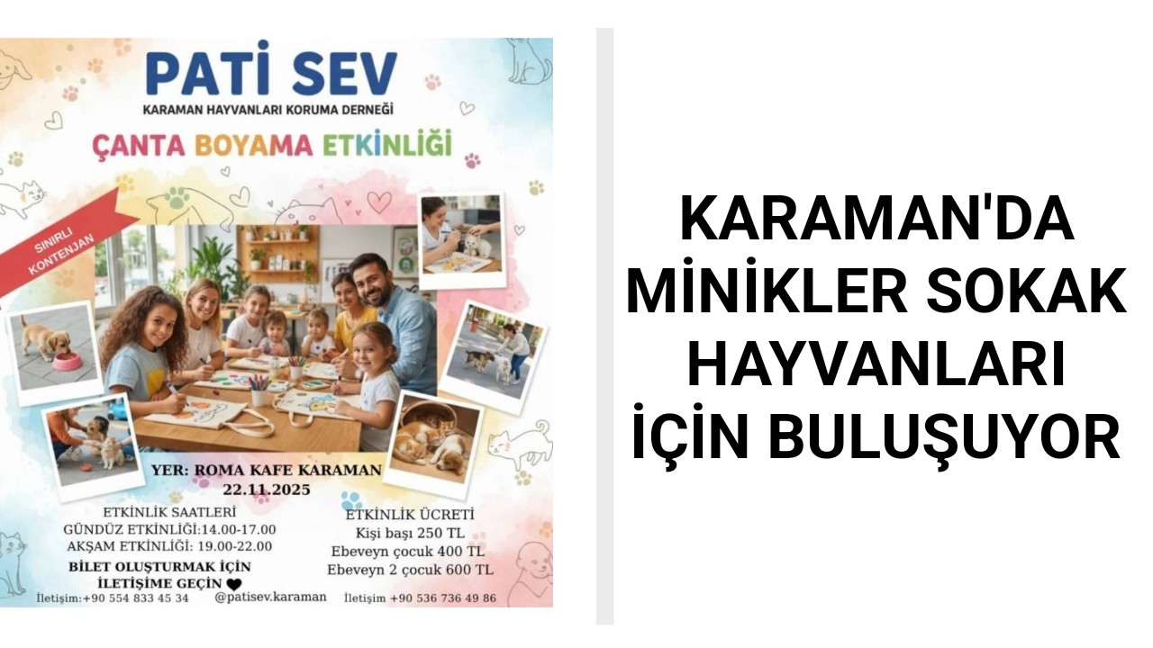 Karaman'da minik eller sokak hayvanları için buluşuyor