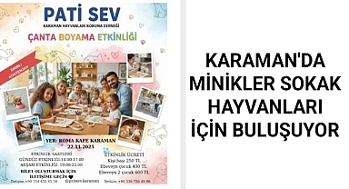 Karaman'da minik eller sokak hayvanları için buluşuyor