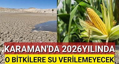 Karaman'da Yeşil Bitkilere Bu Yıl Su Verilemeyecek