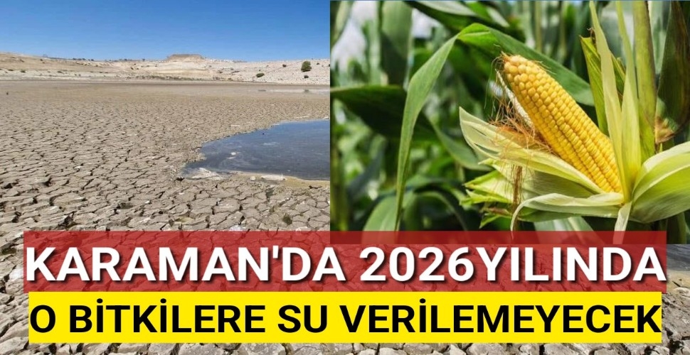Karaman'da Yeşil Bitkilere Bu Yıl Su Verilemeyecek