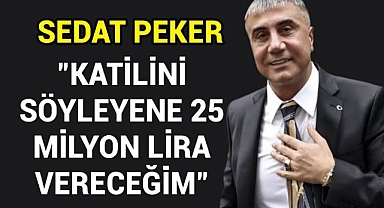 Sedat Peker 