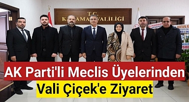 AK Parti'li Meclis Üyelerinden Vali Çiçek'e Ziyaret