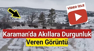 Karaman'da Akıllara Durgunluk Veren Görüntü