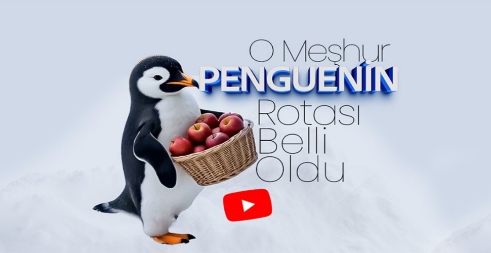 O Meşhur Penguenin Rotası Belli Oldu