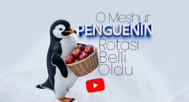 O Meşhur Penguenin Rotası Belli Oldu