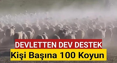Karaman'da Devlet Kişi Başına 100 Koyun Dağıtacak