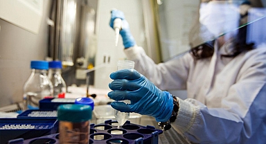 Kansere karşı yeşil kalkan! Oxford’un son araştırması ezber bozdu