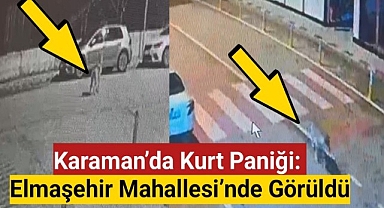 Karaman'da kurt paniği: Elmaşehir Mahallesi'nde görüldü
