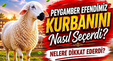 Peygamber Efendimiz Kurbanını Nasıl Seçerdi? Nelere Dikkat Ederdi?