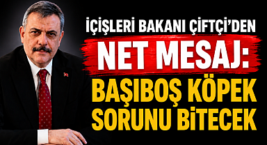 Bakan Çiftçi: Başıboş Sokak Köpeği Sorunu Yılbaşına Kadar Çözülecek