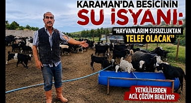 Karaman'da Besicinin Su İsyanı: 