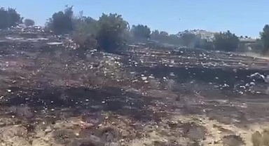 Mersin Mut'ta emekler yandı! 6 dekar bahçe yangında kül oldu