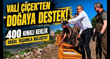 Vali Çiçek'ten Doğaya Destek: 400 Keklik Doğal Yaşamla Buluştu