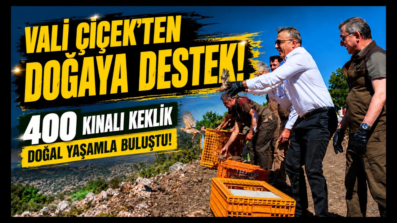 Vali Çiçek'ten Doğaya Destek: 400 Keklik Doğal Yaşamla Buluştu