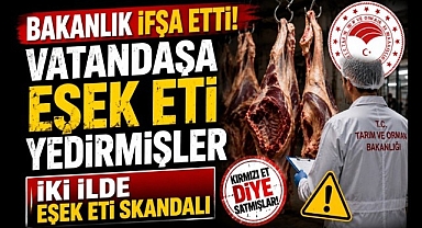 Bakanlık İfşa Etti! Vatandaşa Eşek Eti Yedirmişler İki İlde Eşek Eti Skandalı