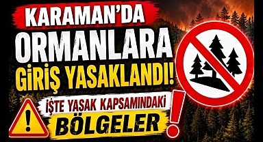 Karaman'da Ormanlara Giriş Yasaklandı! İşte Yasak Kapsamındaki Bölgeler