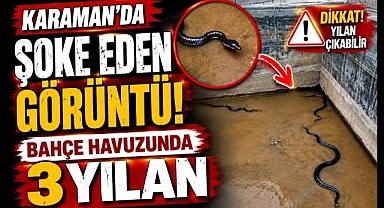 Karaman'da Şoke Eden Görüntü! Adım Atacağınız Yerlere Dikkat Edin