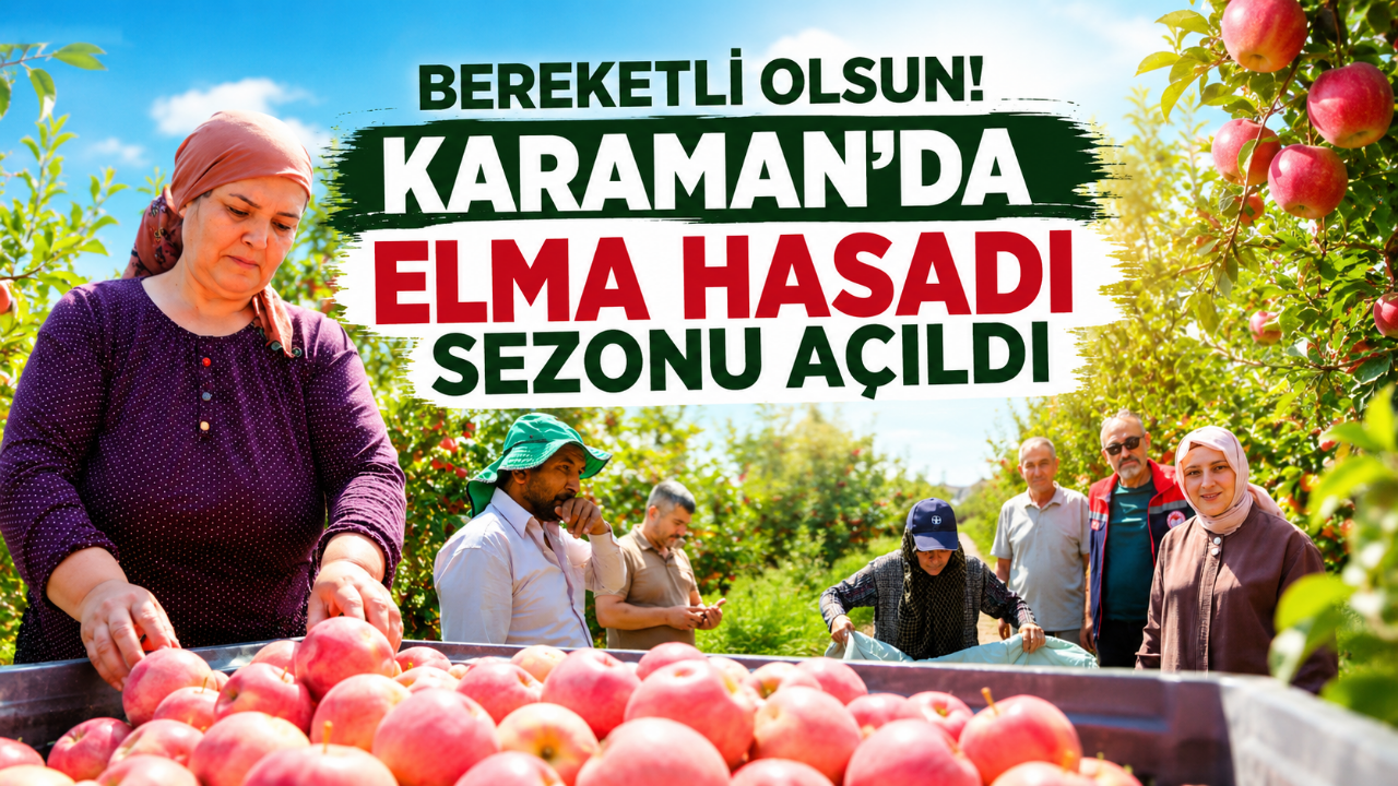 Karaman'da Bereket Zamanı: Elmalar Dalından Toplanıyor