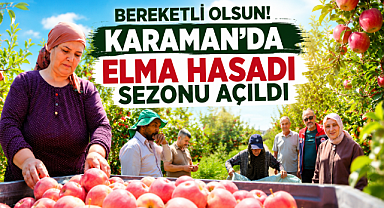 Karaman'da Bereket Zamanı: Elmalar Dalından Toplanıyor