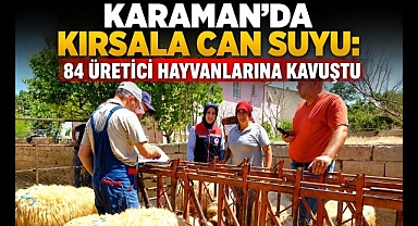 Karaman'da Kırsala Can Suyu: 84 Üretici Hayvanlarına Kavuştu
