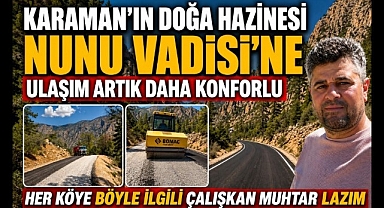 Muhtar Ali Bilgin'in Israrlı Takibi Sonuç Verdi: Nunu Vadisi'ne Konforlu Ulaşım