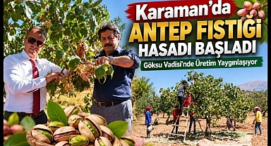 Karaman'da Antep Fıstığı Hasadı Başladı: Göksu Vadisi'nde Üretim Yaygınlaşıyor