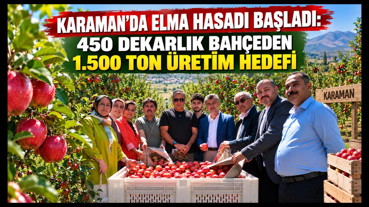 Karaman'da Elma Hasadı Başladı: 450 Dekarlık Bahçeden 1.500 Ton Üretim Hedefi