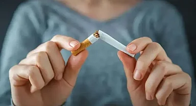 Nikotinde kısırlık tehlikesi